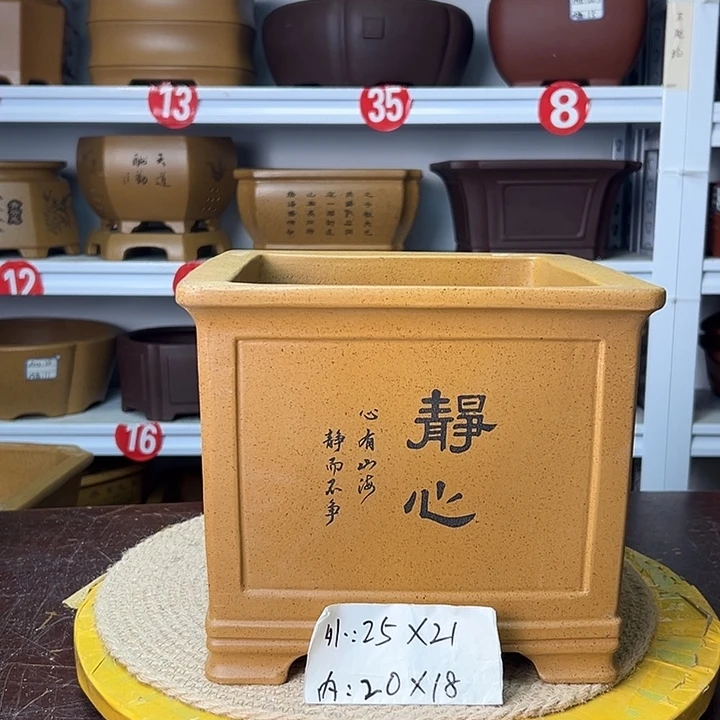 紫砂花盆你在一起