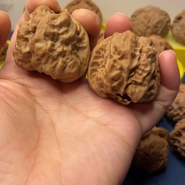 老***朱文玩核桃  蛤蟆头40