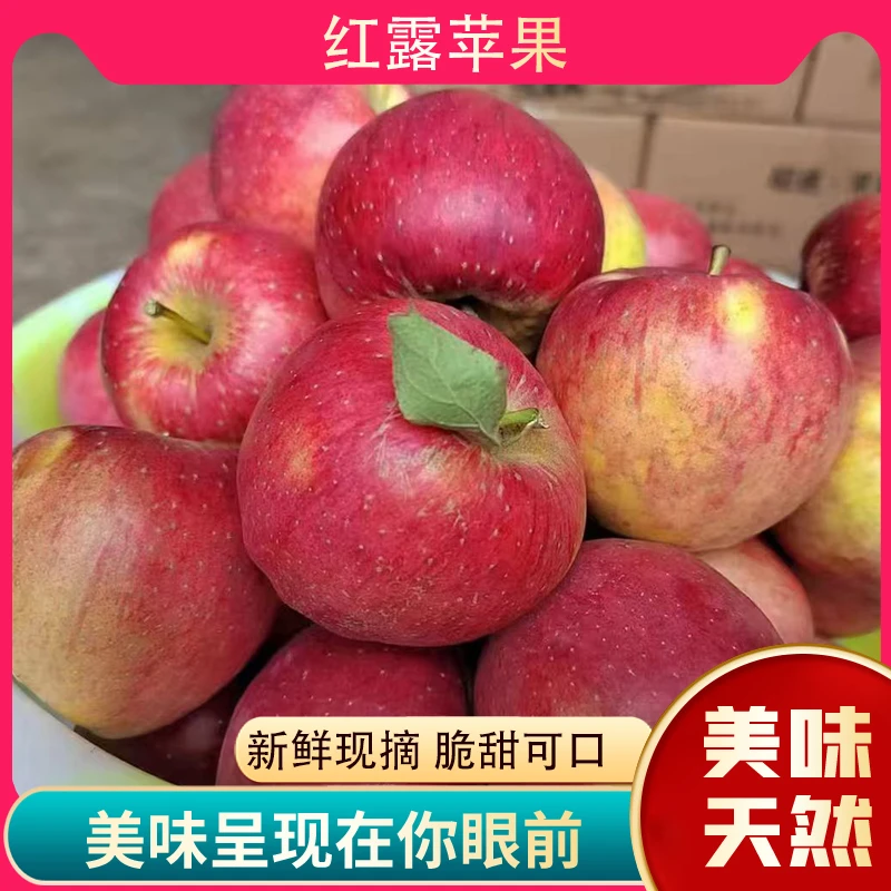 云南新鲜现摘丑苹果脆甜多汁冰糖心解馋水果原产地直供