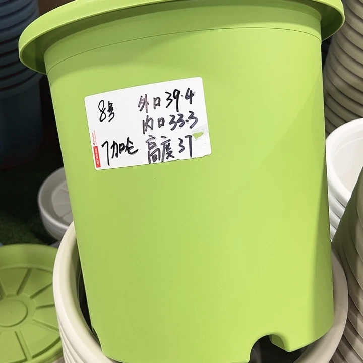 特价8号四季口39.4高37白色无托3只