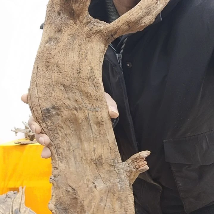 风车木（黑檀木）左**计