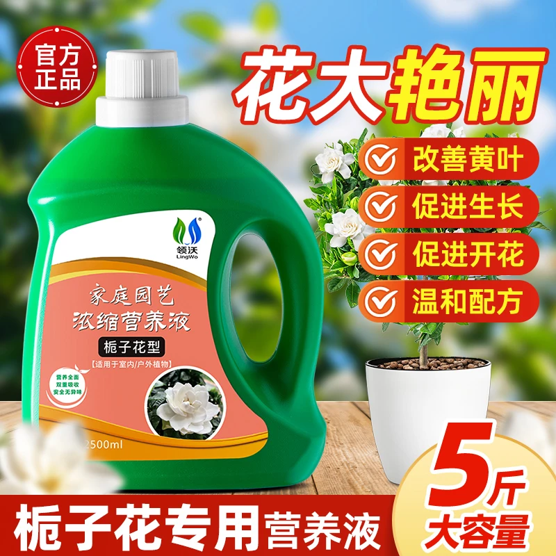 【5斤大包装】领沃栀子花专用营养液喜酸植物促开花拯救黄叶酸性肥