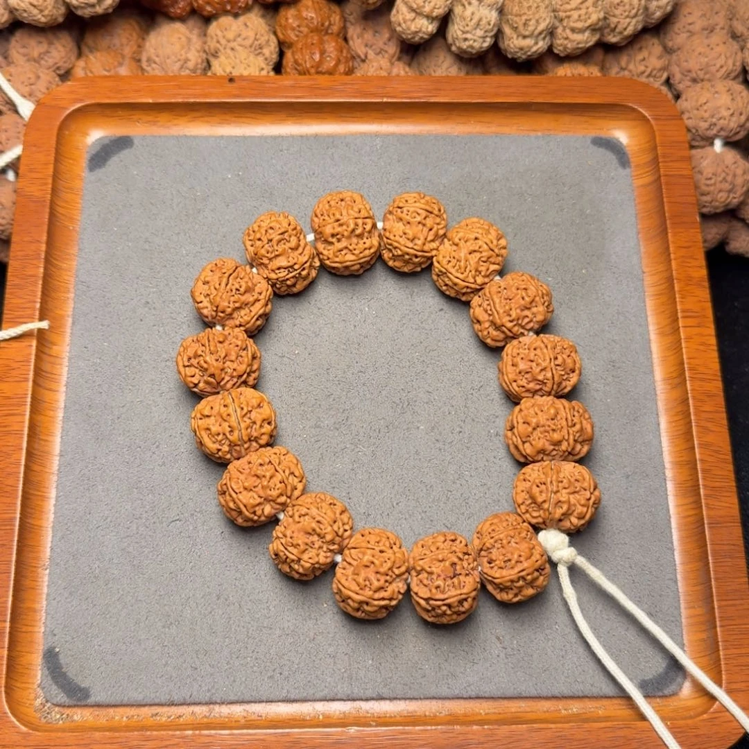 6号尼泊尔大金刚六瓣21原生态梅花