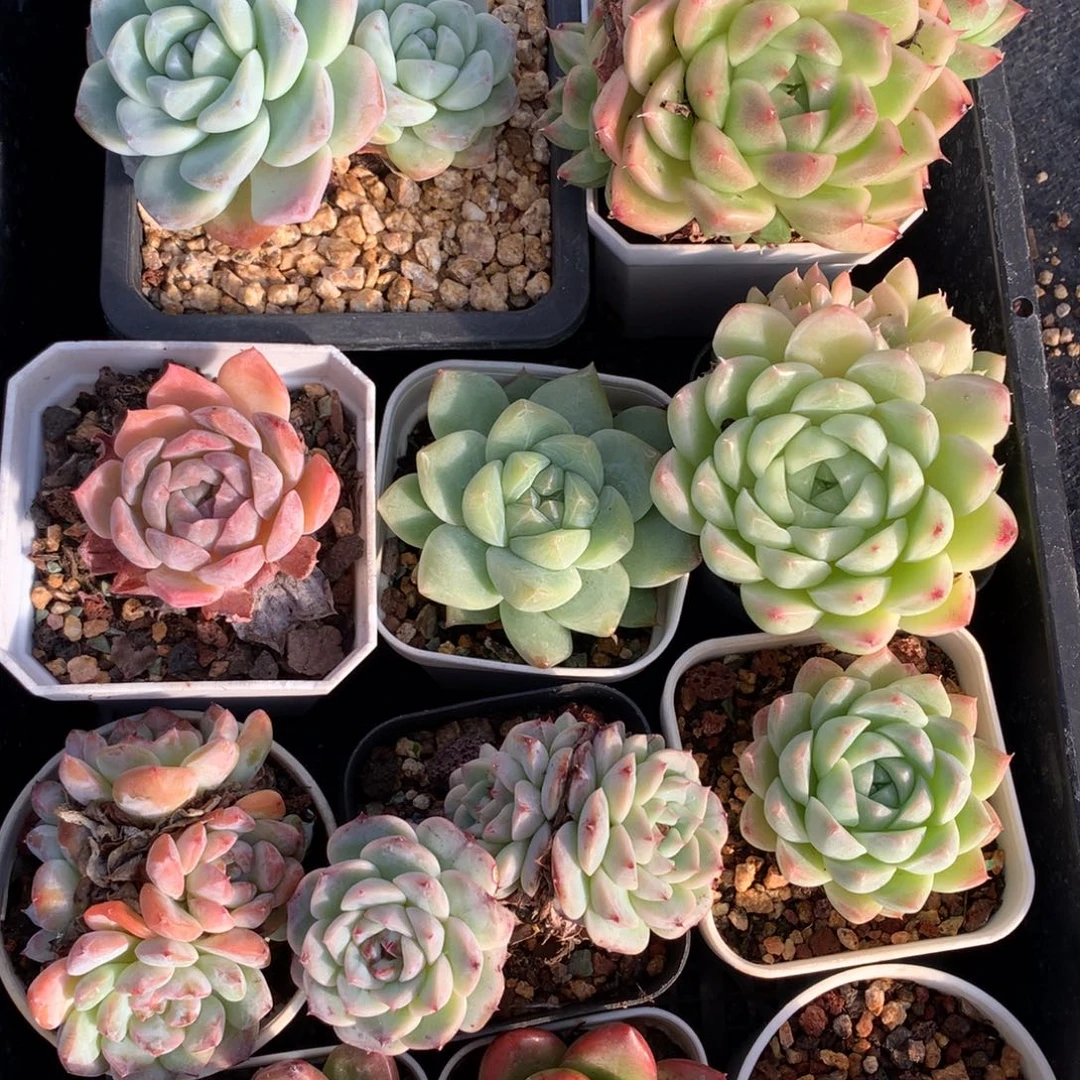 1112-14 套餐一组