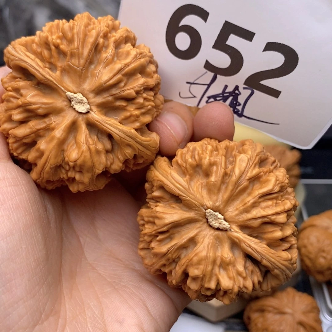 文玩核桃把件652高51粗筋