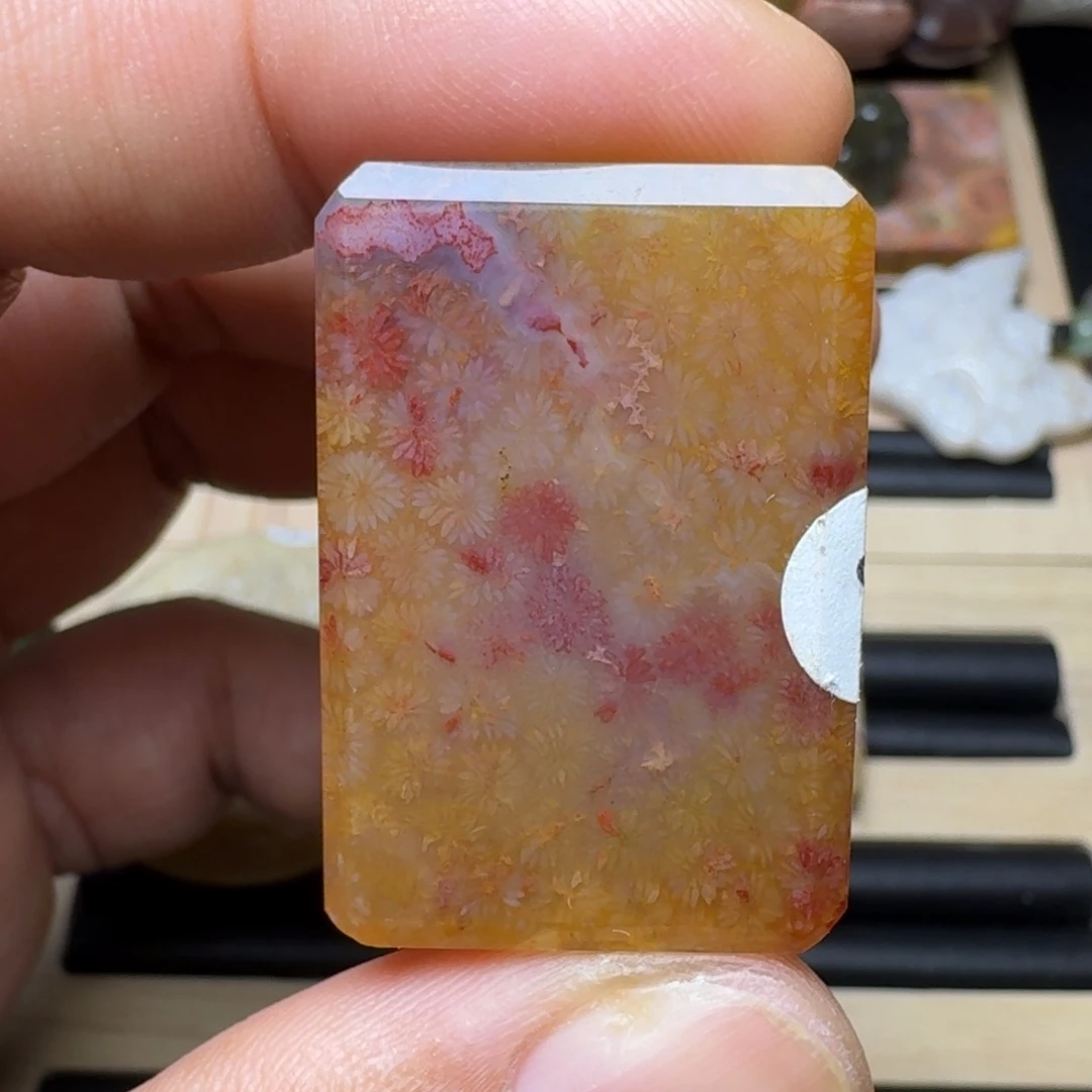 未镶嵌纯天然色有机玉石保真色硅化玉