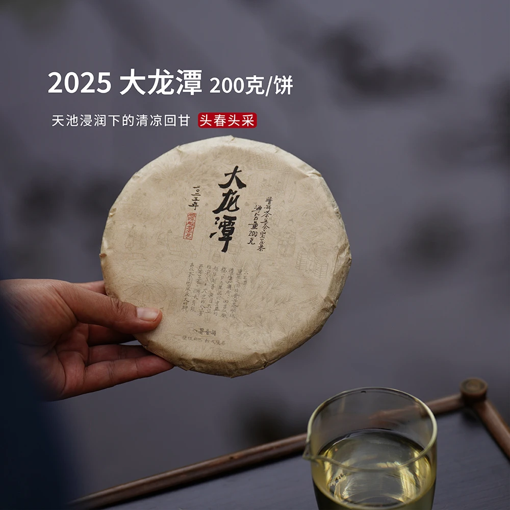 入界2025 大龙潭 临沧凤庆 茶叶进化论头春头采普洱茶生茶200克饼