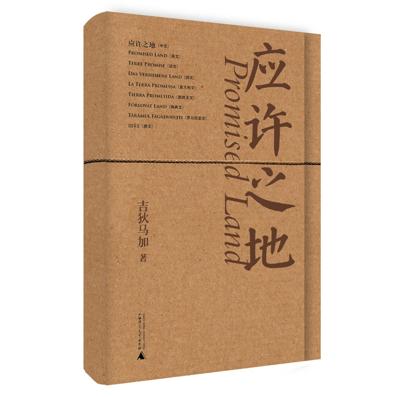 应许之地  正版书籍精选好书