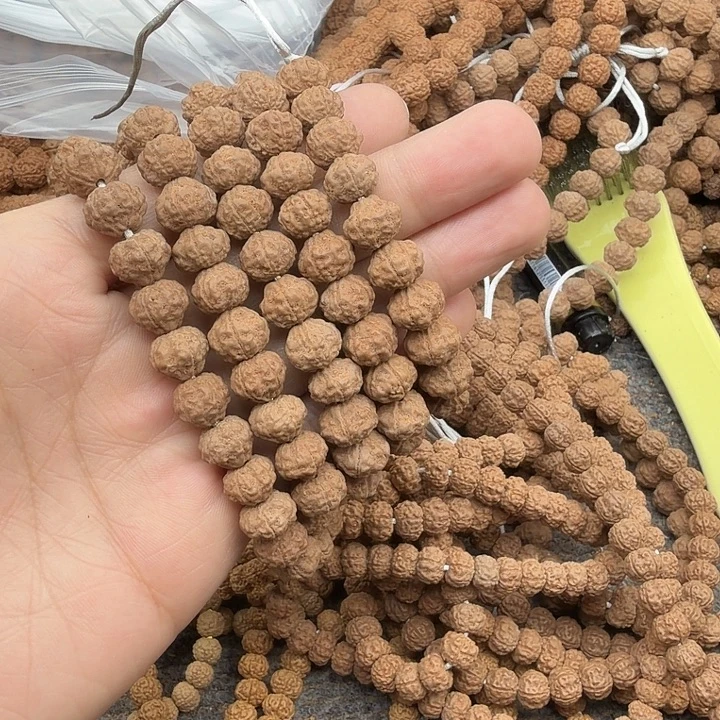 着***春金刚菩提吊坠谢谢