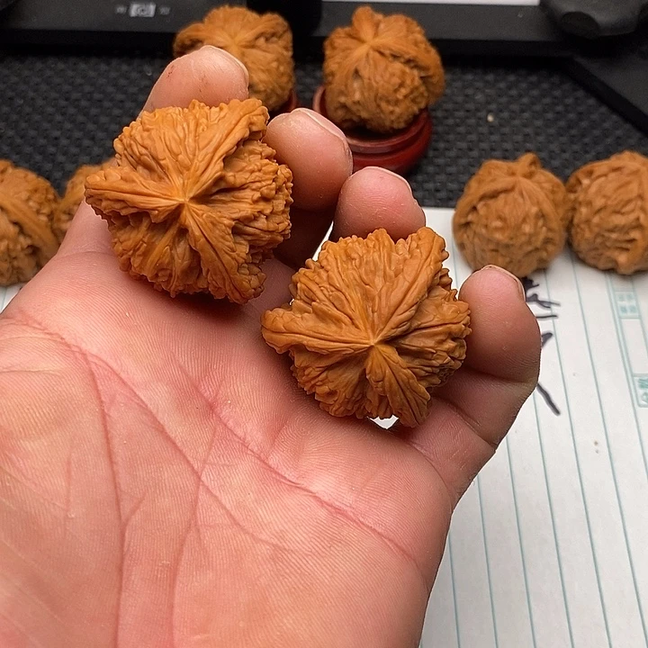 清***雨核桃手串/手链白狮子11