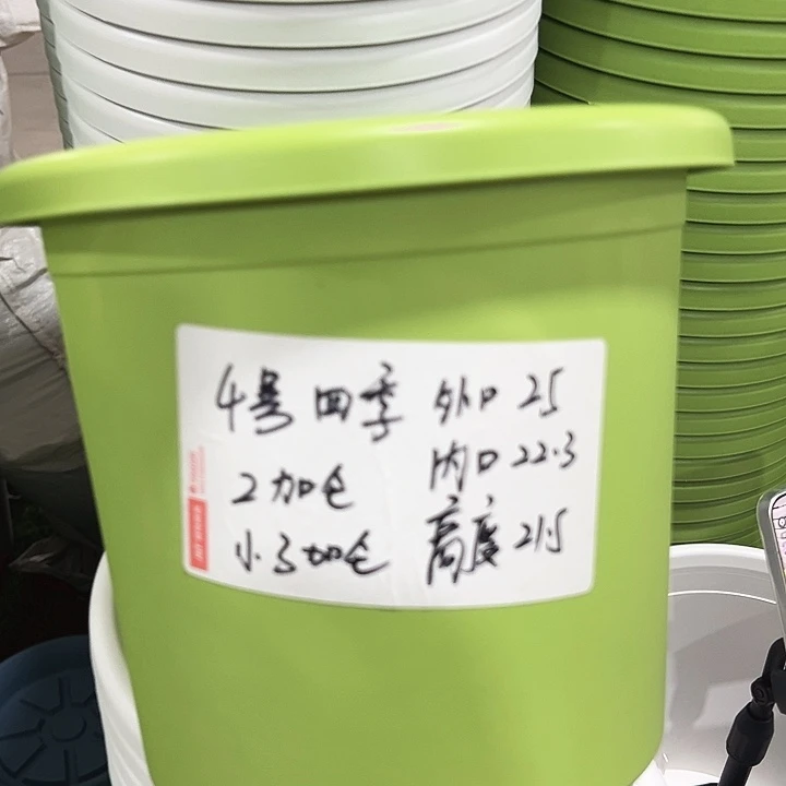 特价4四季口25高21.5果绿无托8只