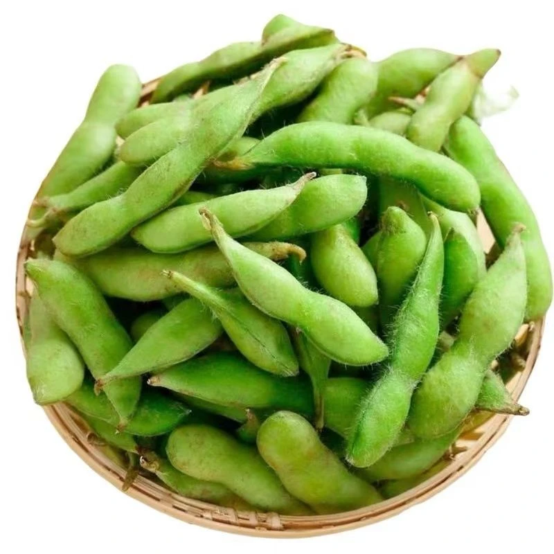新鲜现摘嫩毛豆新鲜蔬菜农家青豆子现摘批发嫩毛豆荚子