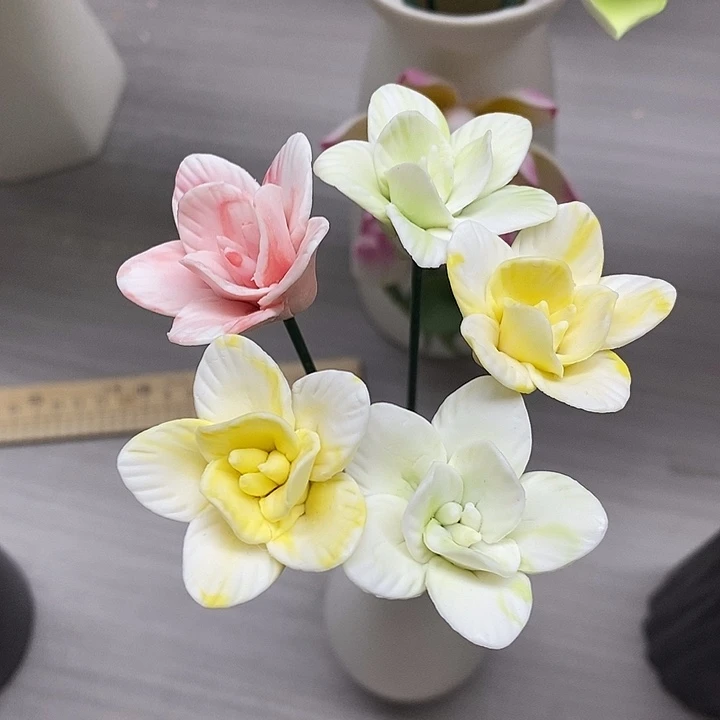 陶瓷陶瓷材料素烧