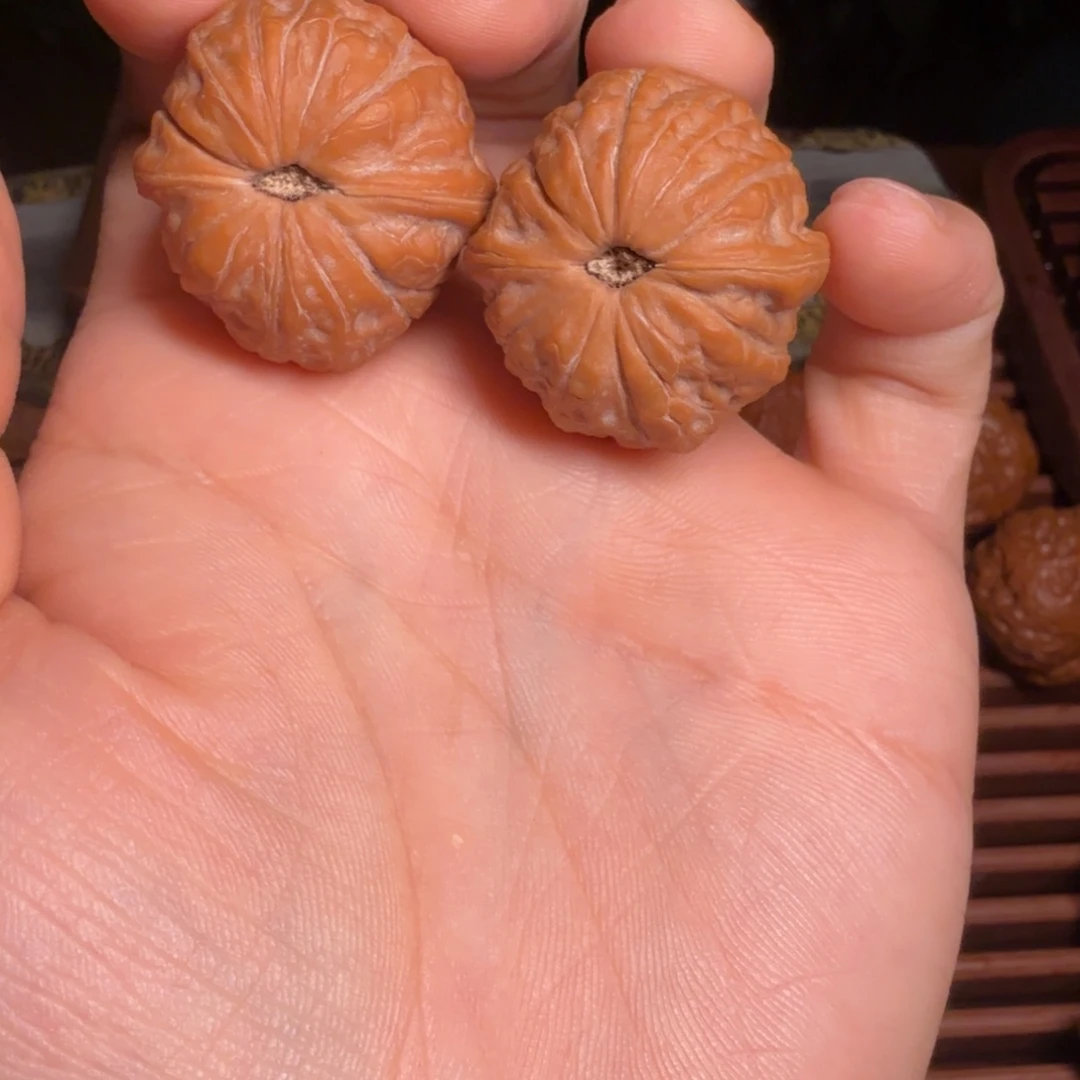 远***笺核桃毕业菏叶底32