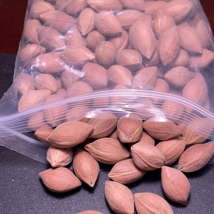 瑞***辰吊坠橄榄核不退不换