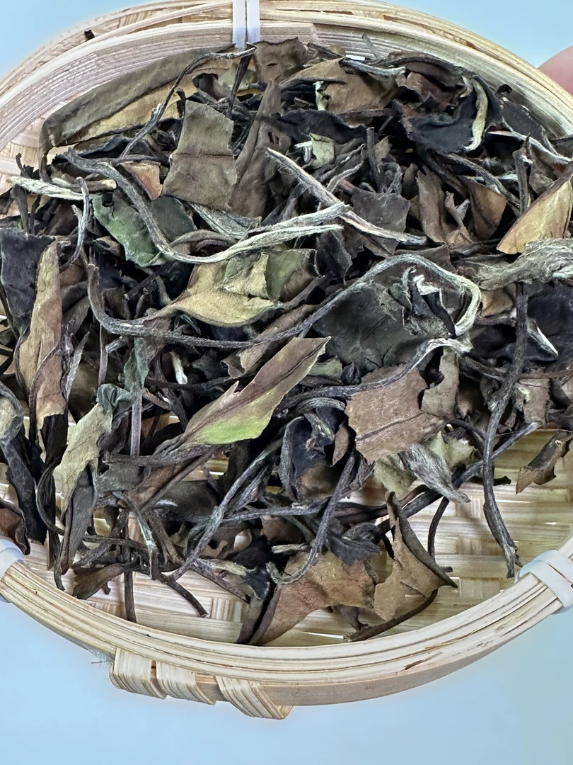 2022年福鼎高山老白茶寿眉陈化散茶茶叶5斤