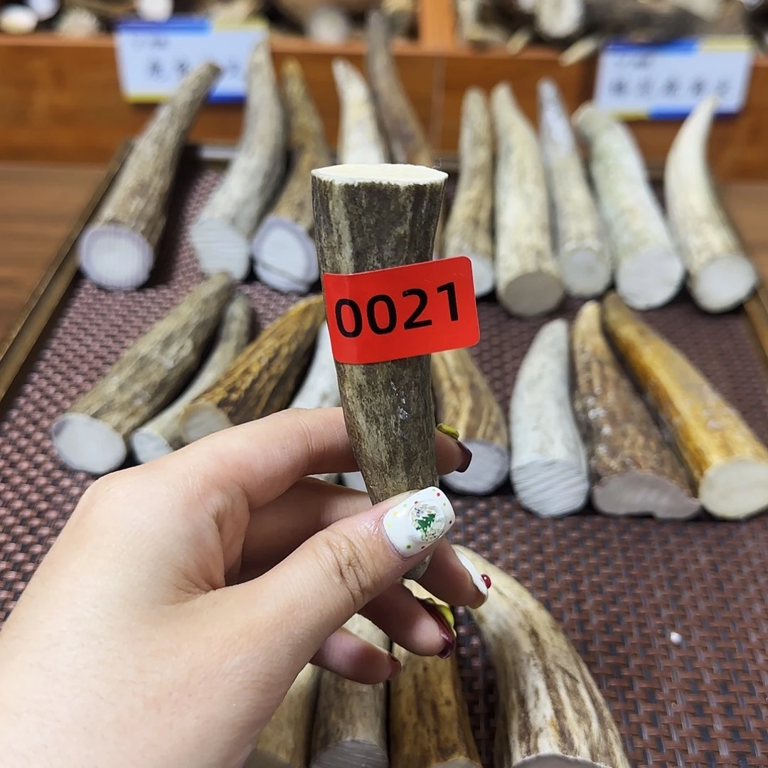 手串/手链鹿骨角尖0021