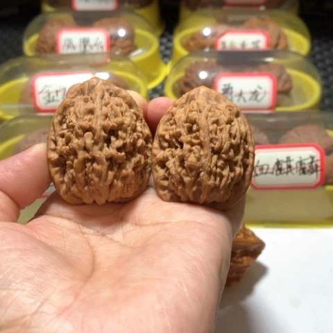 吊坠文玩核桃蚂蚁王