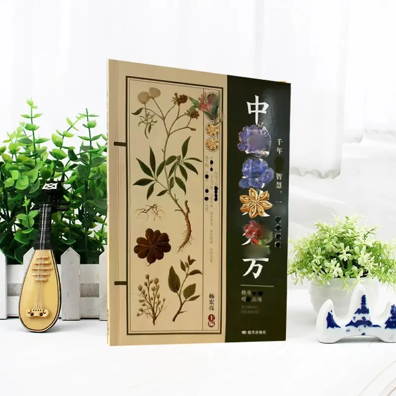 简单实用特效经典大全民方验方智慧书籍古今相传家庭必备解决