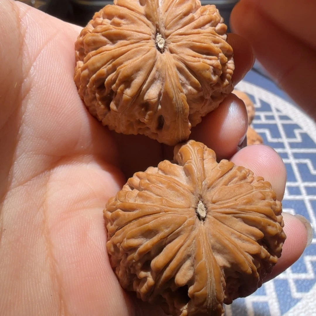 把件文玩核桃蛟龙