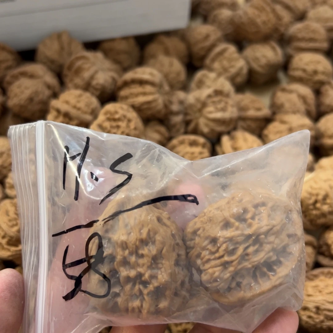 h*s42尺大尺寸全品无修鸡心1