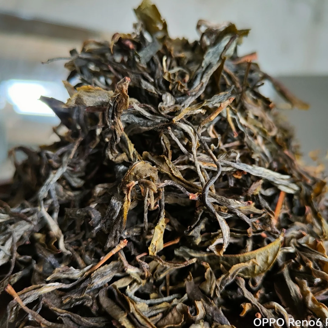 2025年万峰山古树晒青散茶 260克 鲜爽度高 回甘强