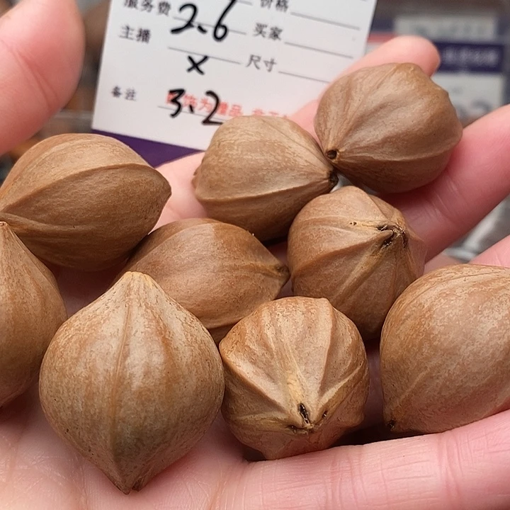 手串/手链橄榄核宝*劵