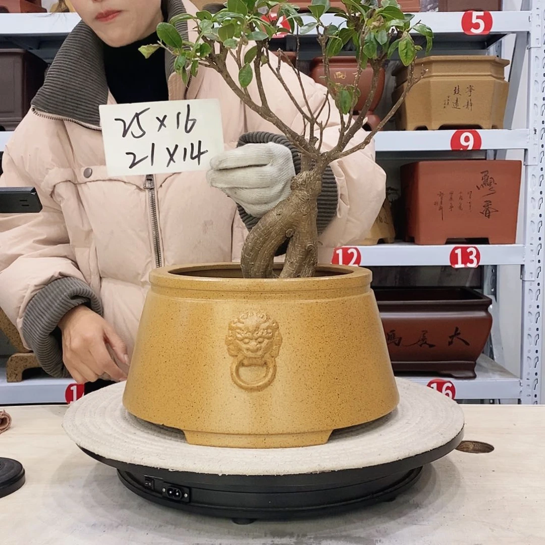 紫砂花盆紫砂花盆