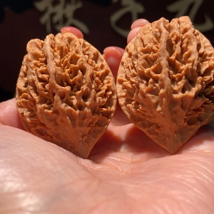 木质类聚核财婉楸120