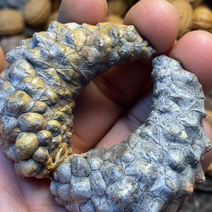 糊****桃核吊坠娜姐真的26