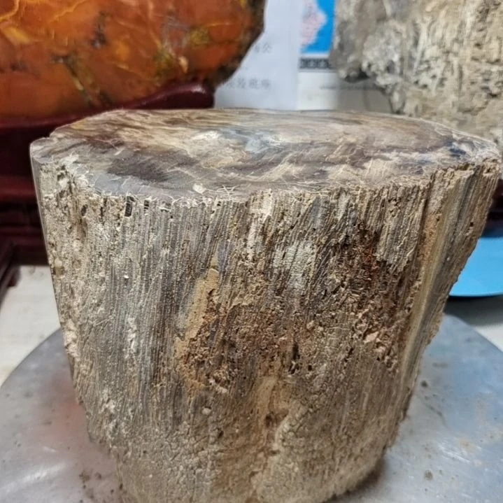 0***y石材新疆奇台硅化木 木化石，树化石，树化玉。