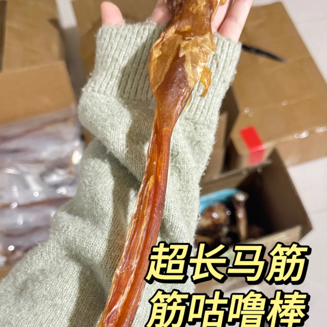 中型犬专属宠物零食