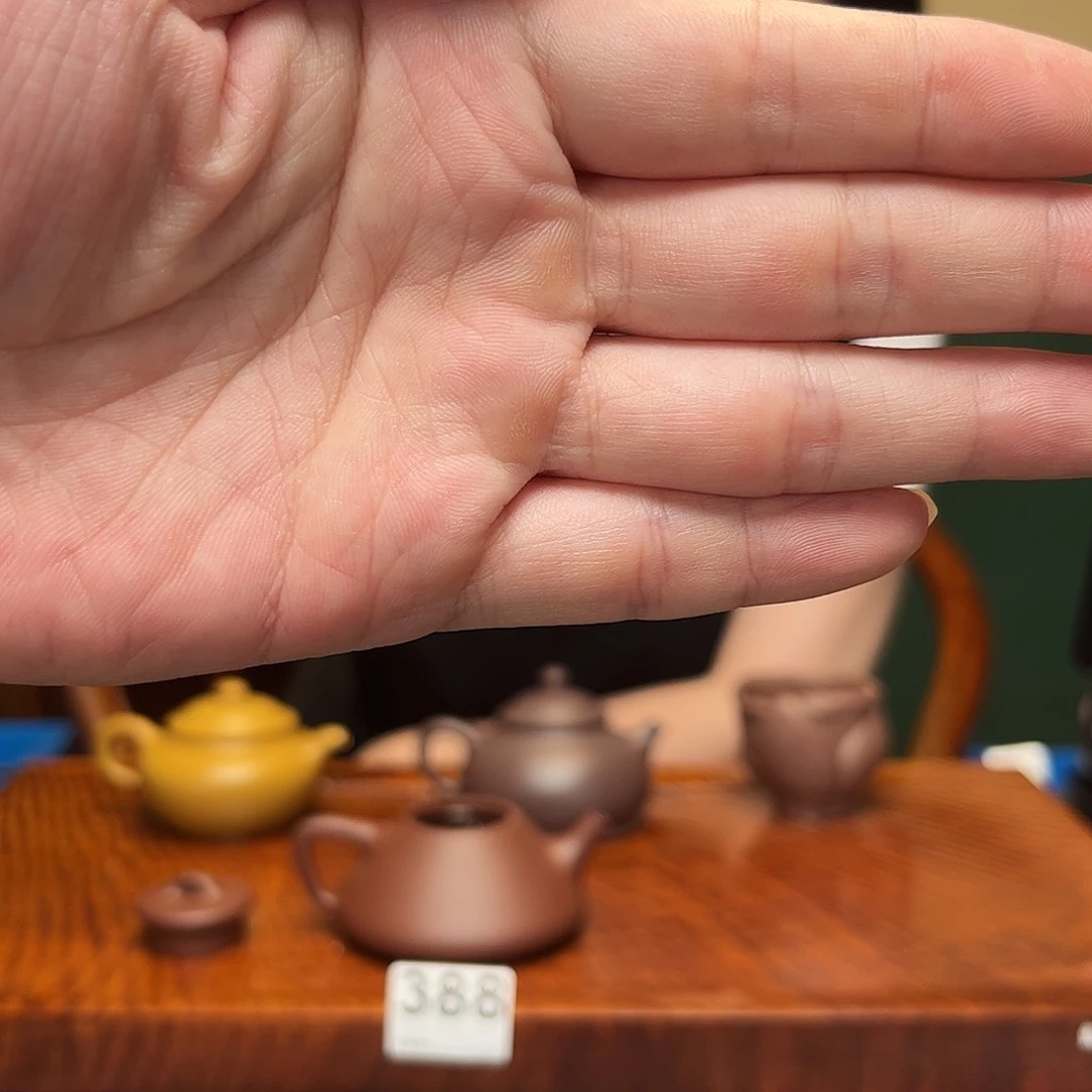 紫砂茶宠子冶石瓢388