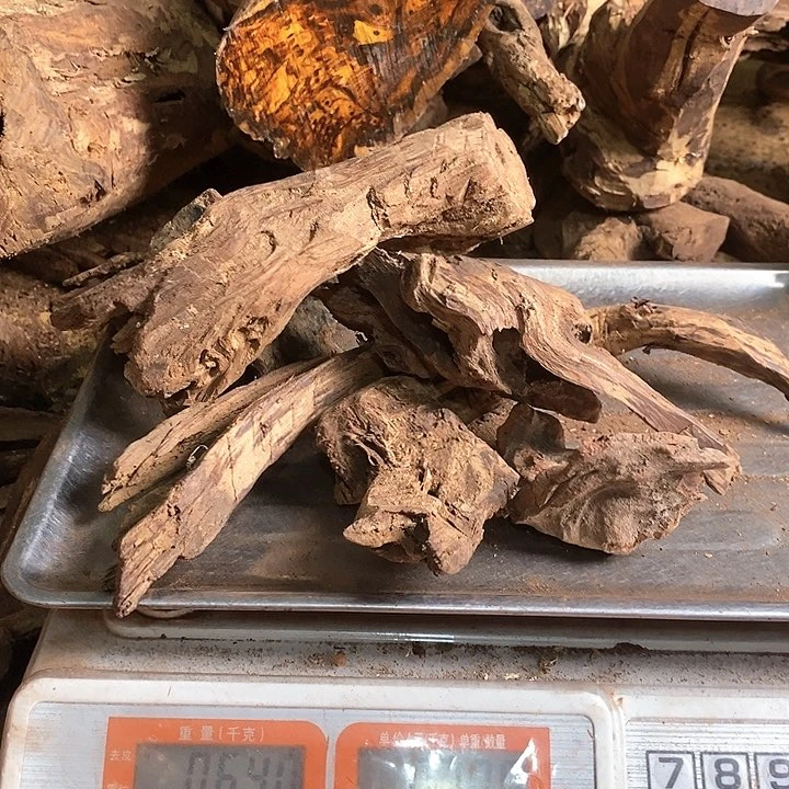 花梨木类人*者海南花梨