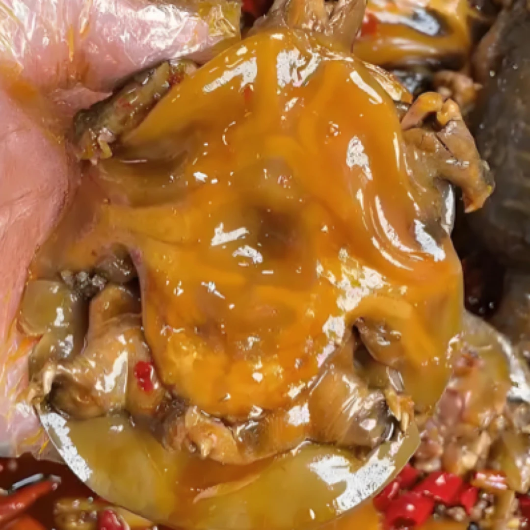 麻辣小甲鱼一只，每只半斤