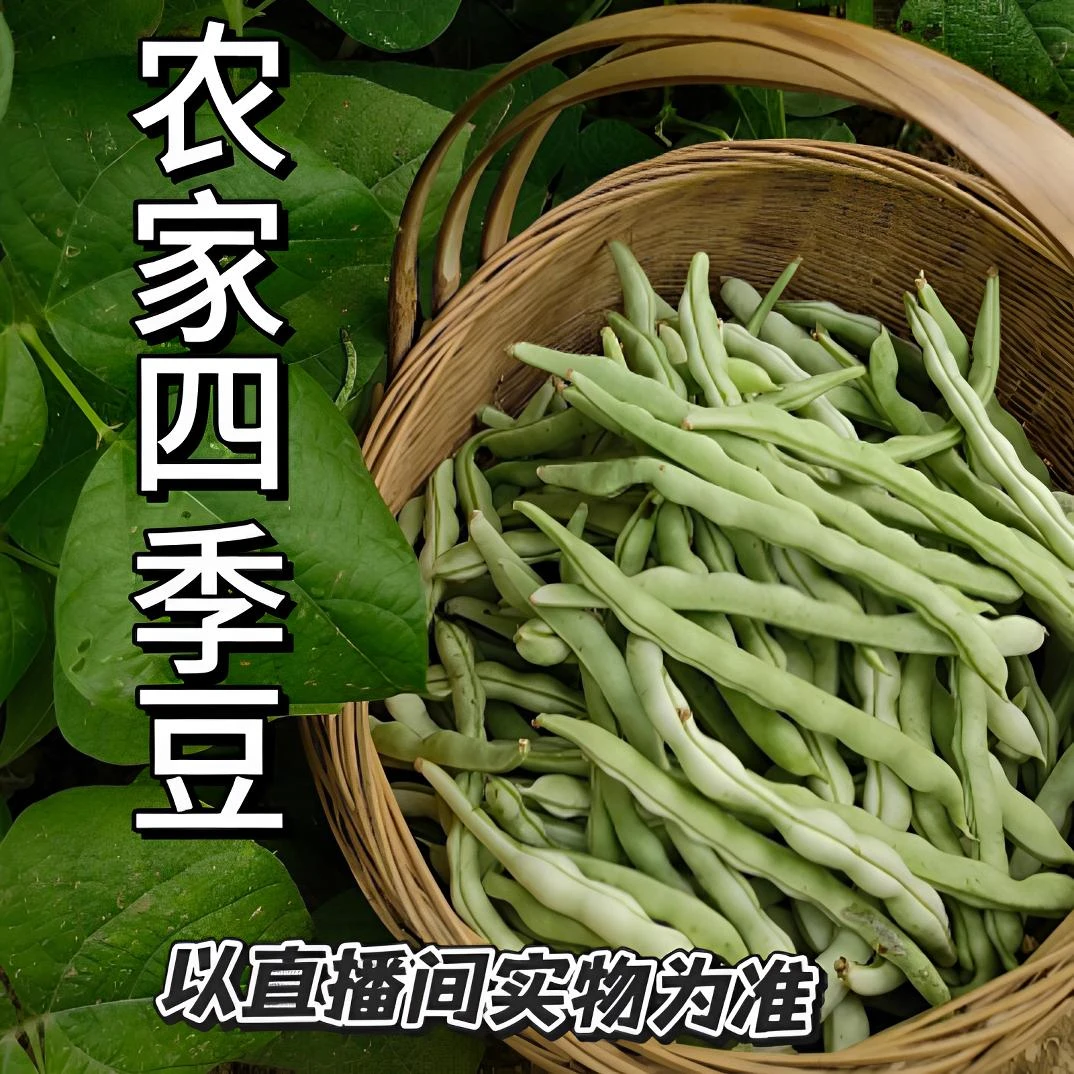 【顺丰包邮 高山露天四季豆】自然生长 农家有机肥