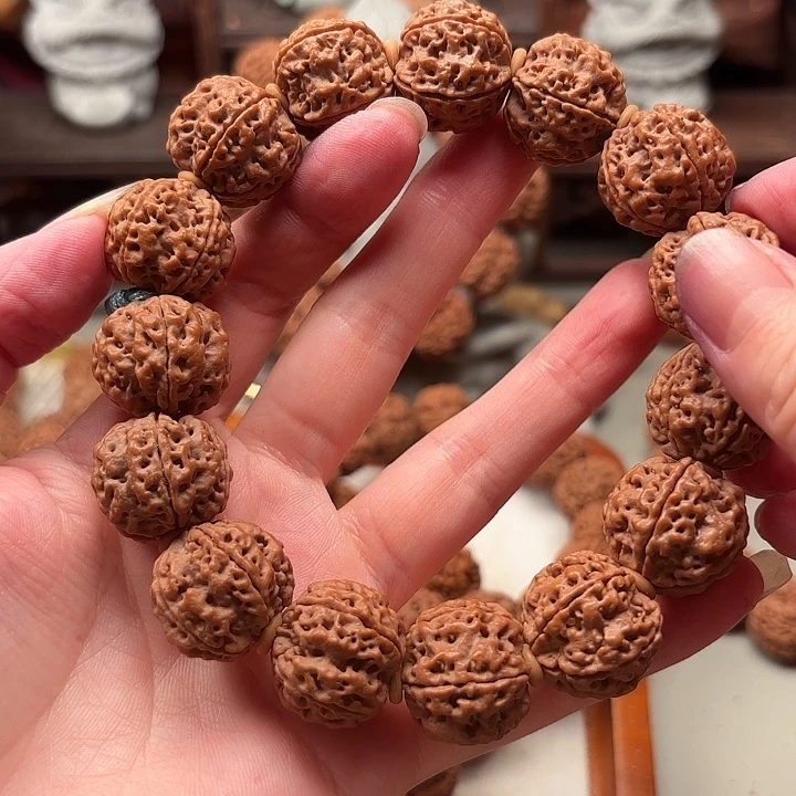19尺的金刚菩提，只要19.9