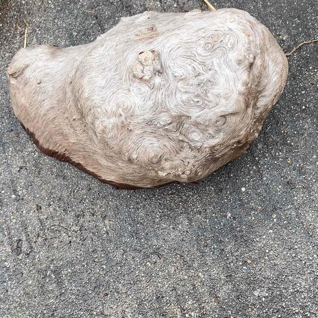 荔枝木地****1荔枝木毛料