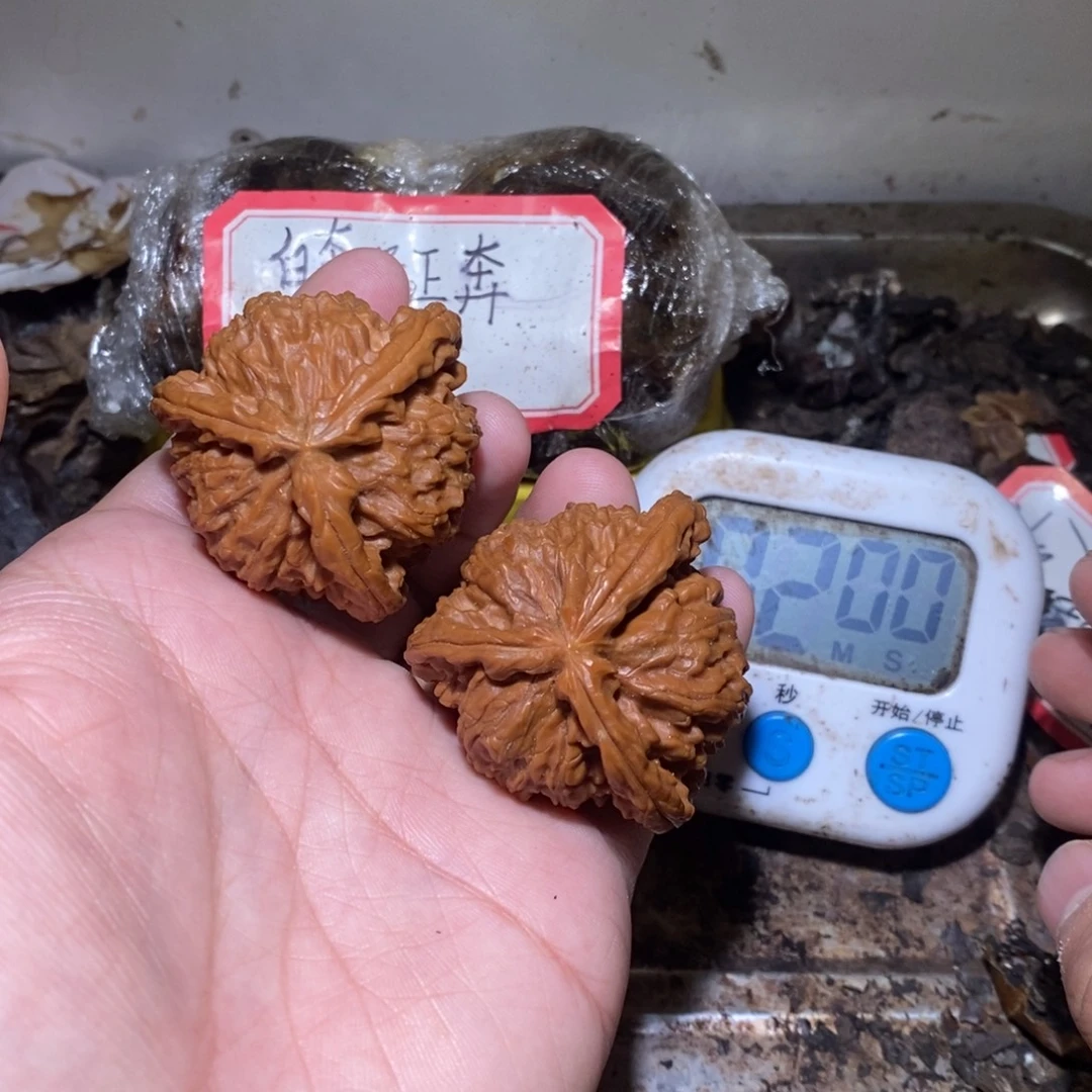 就像计算机室走走看看