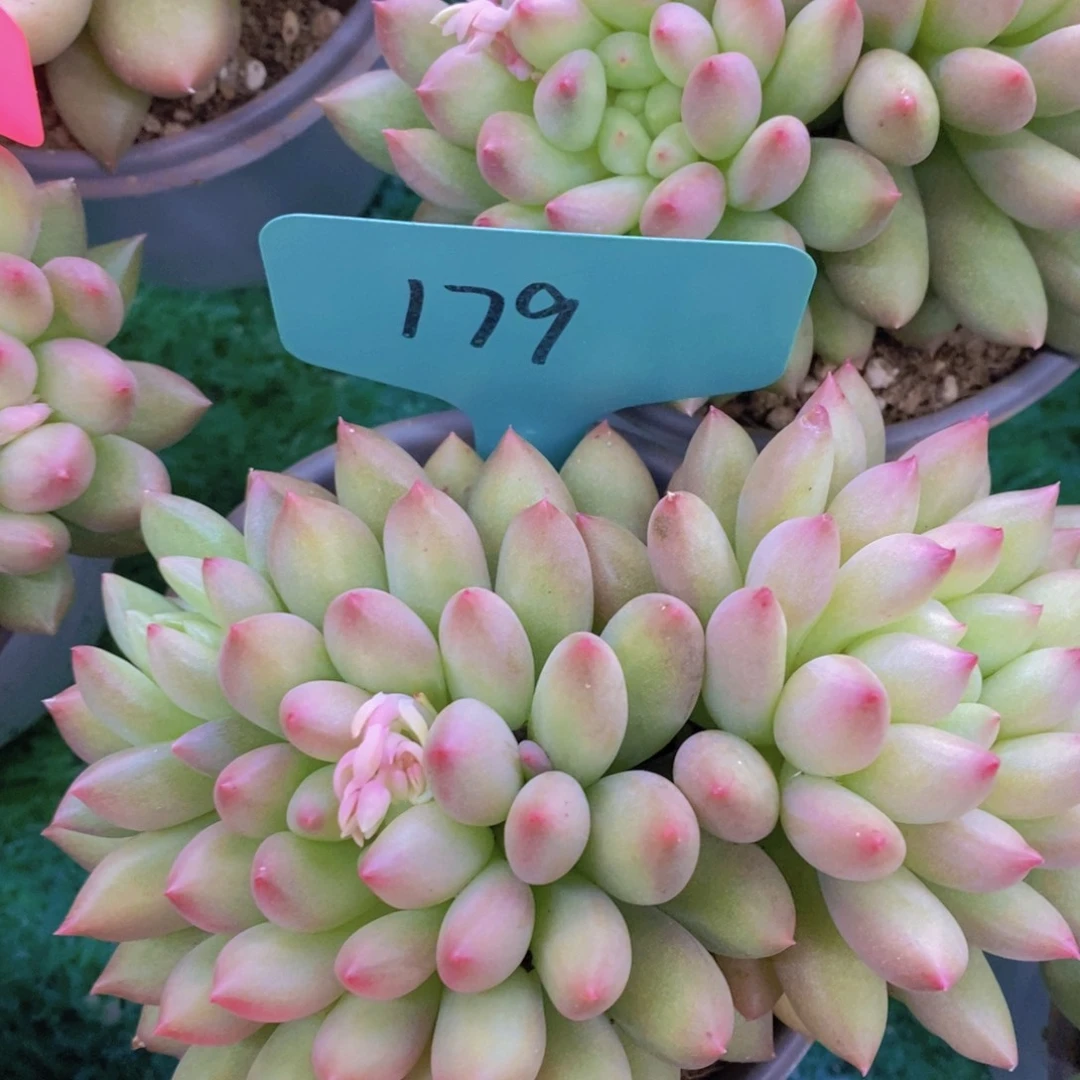 清货专场，满5宋1了