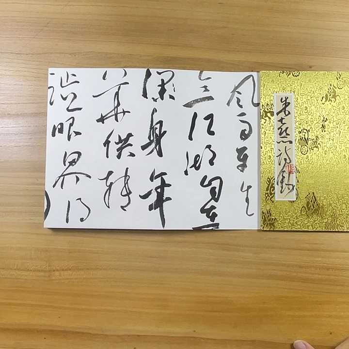 书法中书协会员作品
