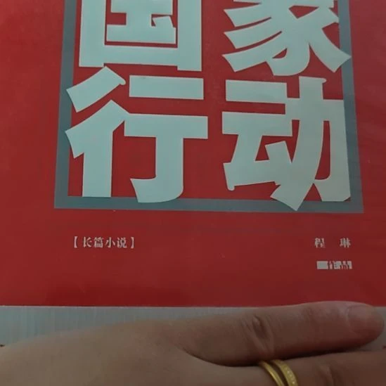 国家行动平装全新正版