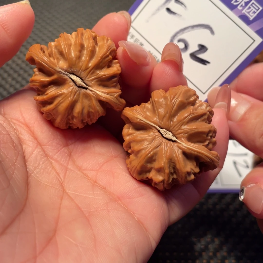 文玩核桃把件62号白狮子38