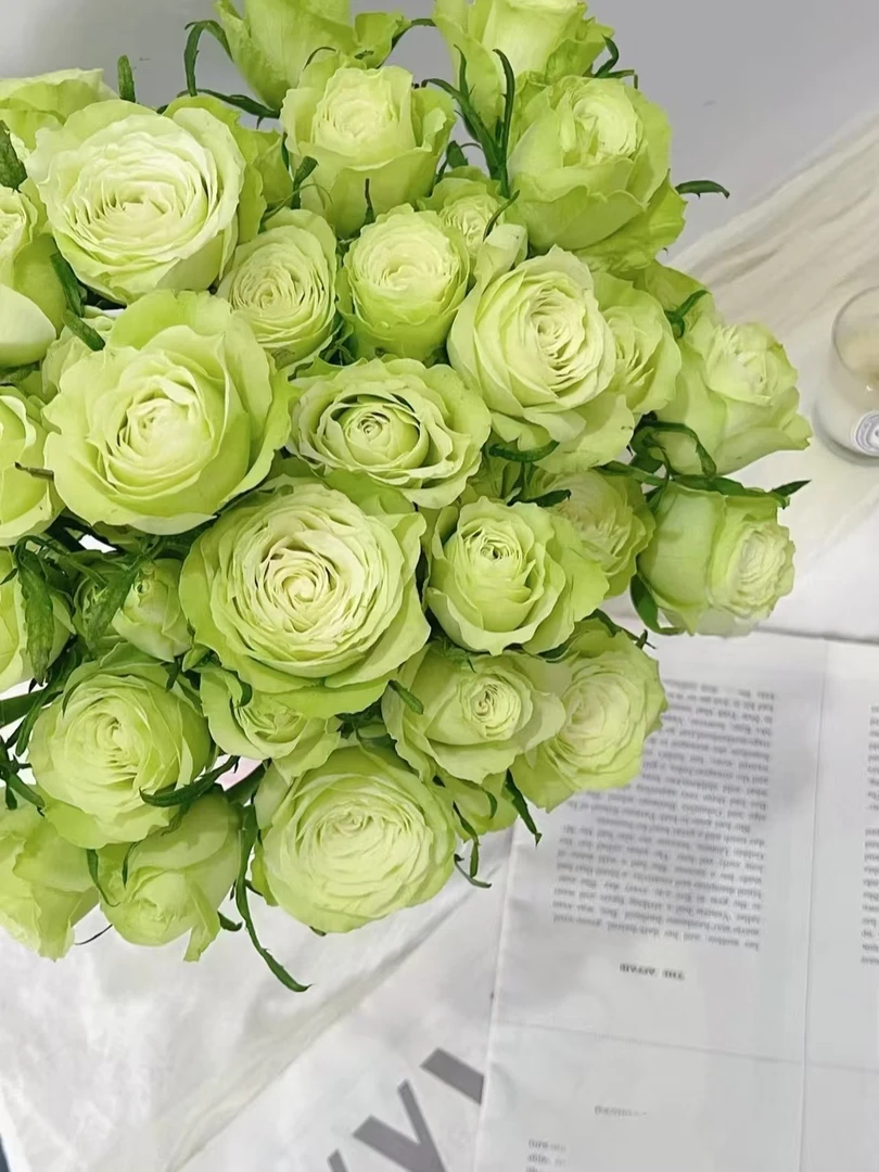 【花汀私享】薄荷茶-单头玫瑰（注意带包装醒花哦~）