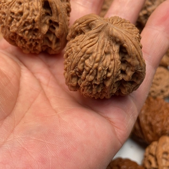 兰***护南疆888888888