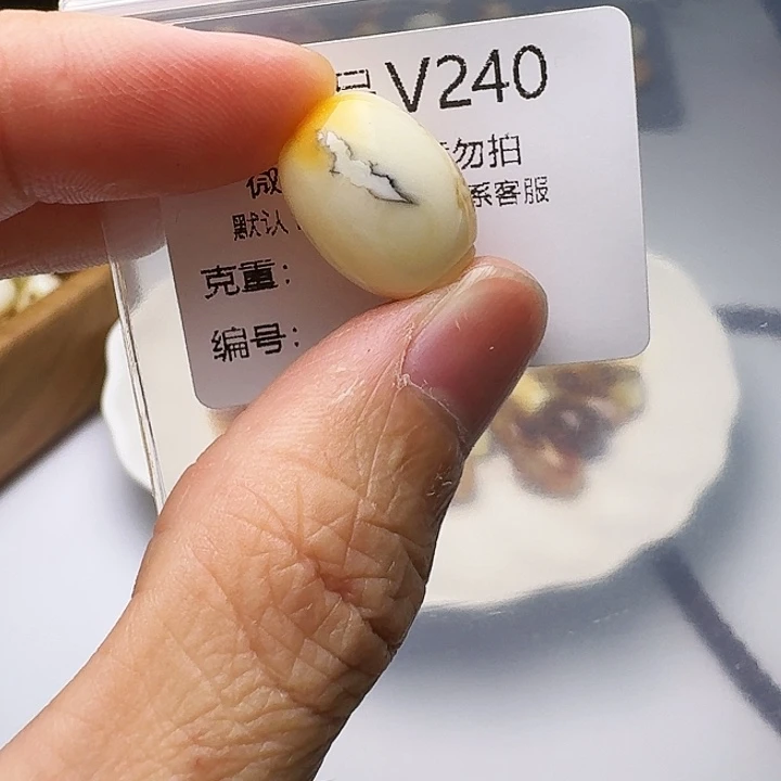 裸石琥珀未镶嵌琥珀