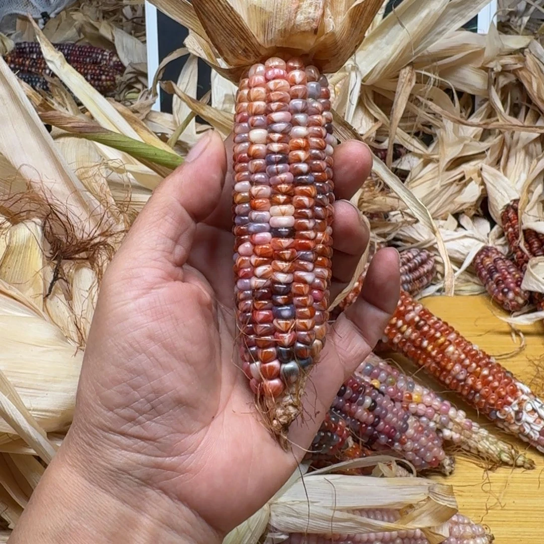 琉***璃柏香籽/百香籽吊坠