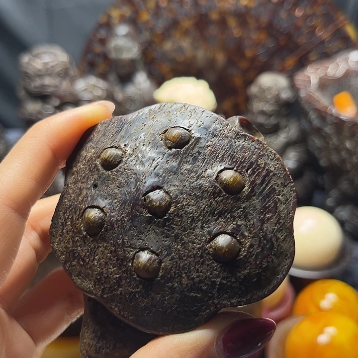 木非州花梨大果紫檀x50