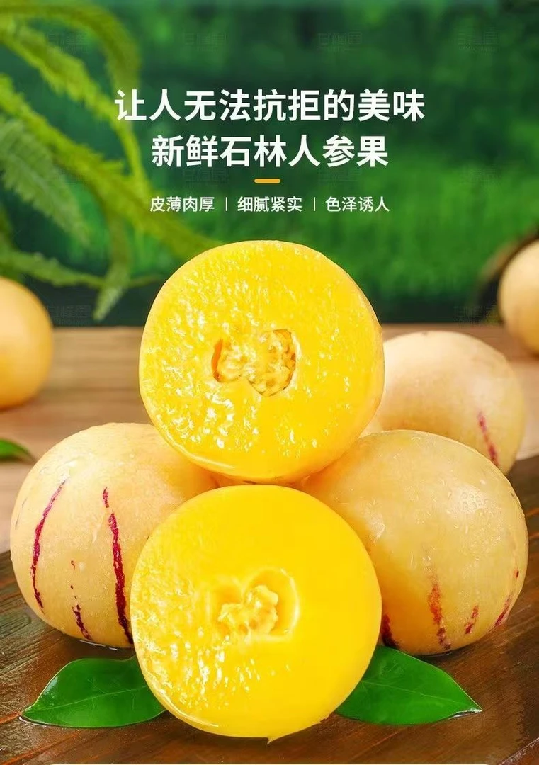 一口爆汁！石林人参果 金黄果肉 办公室补水小炸弹