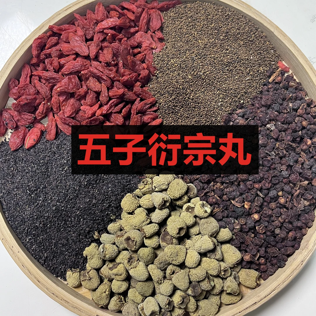 五子衍宗【泡酒原料】南五味子菟丝子车前子覆盆子枸杞子